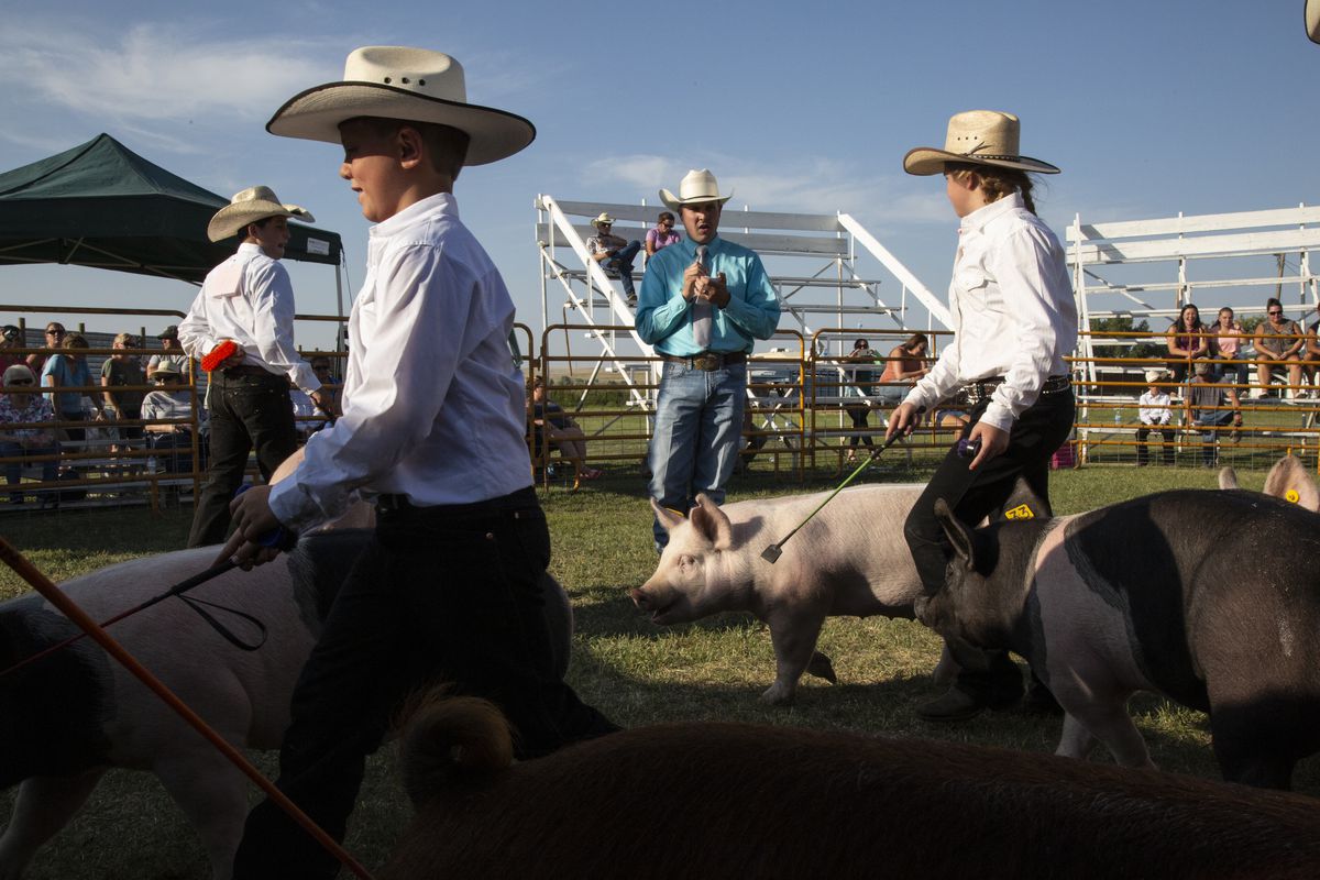 Two boys in cowboy hats lead pigs with what appear to be pig whips around an outdoor fair space. 