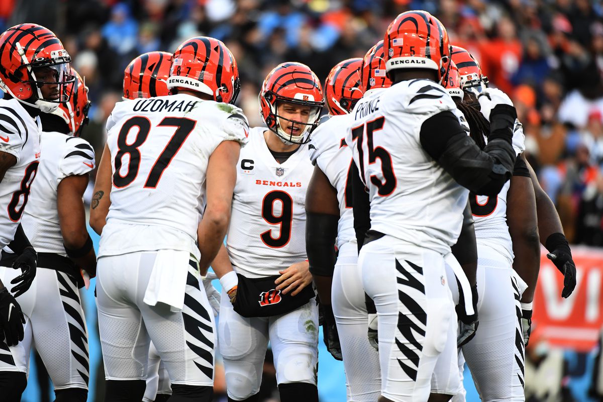 Bengals News: Joe Burrow most overcome history to get back to ...