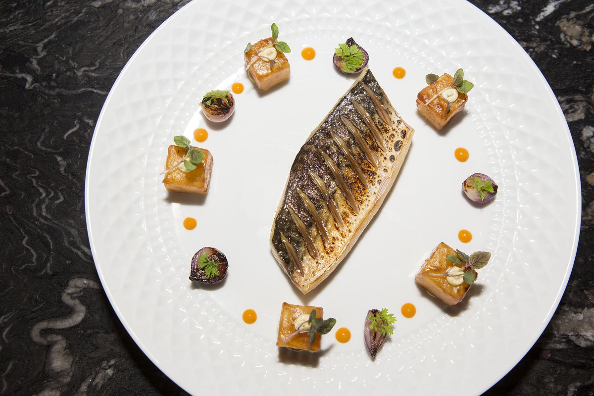 A fancy grilled and cured fish on a white plate
