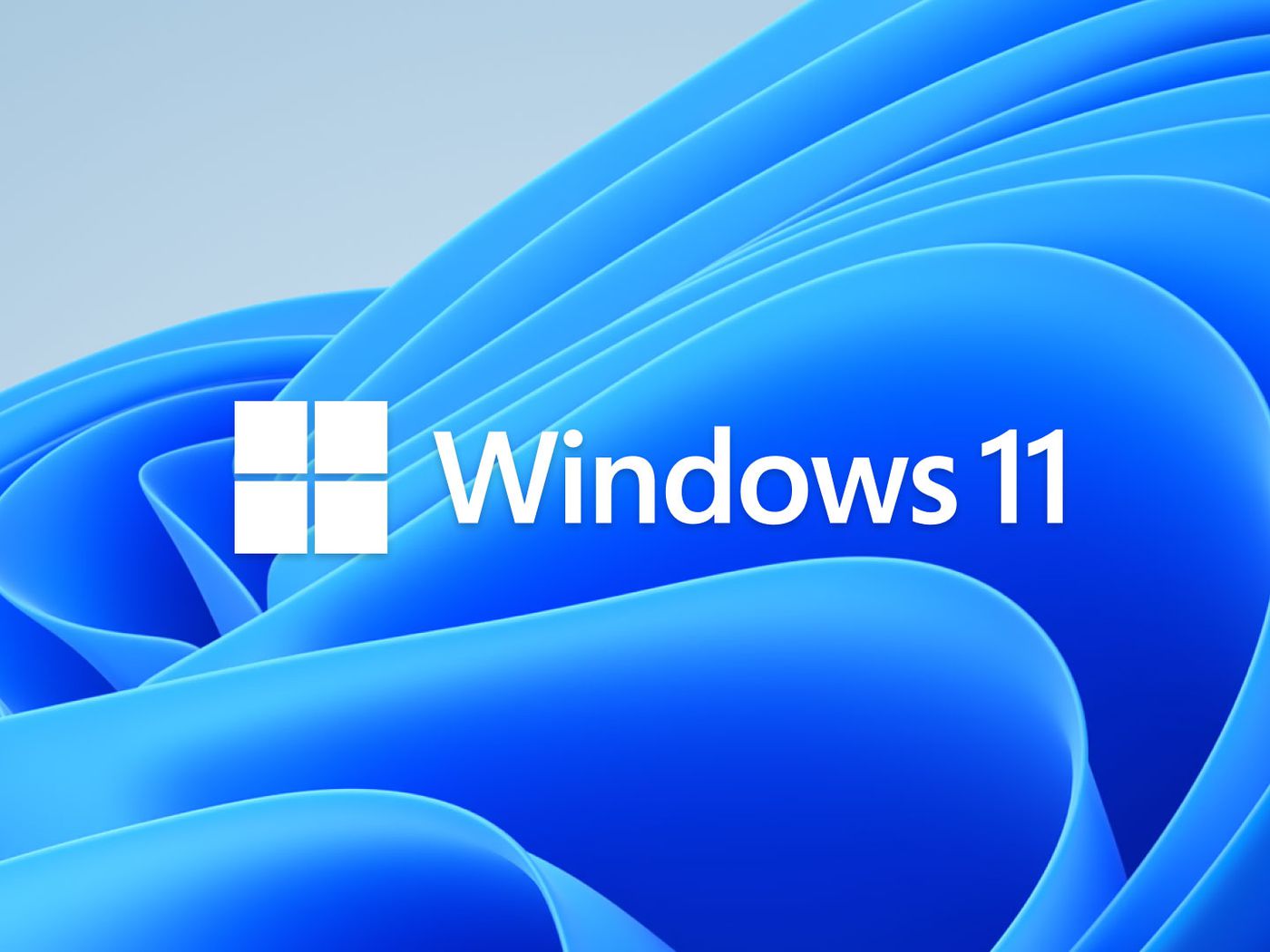 download windows 10 from windows 11
