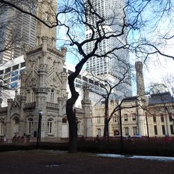 A Walk to Daley Plaza