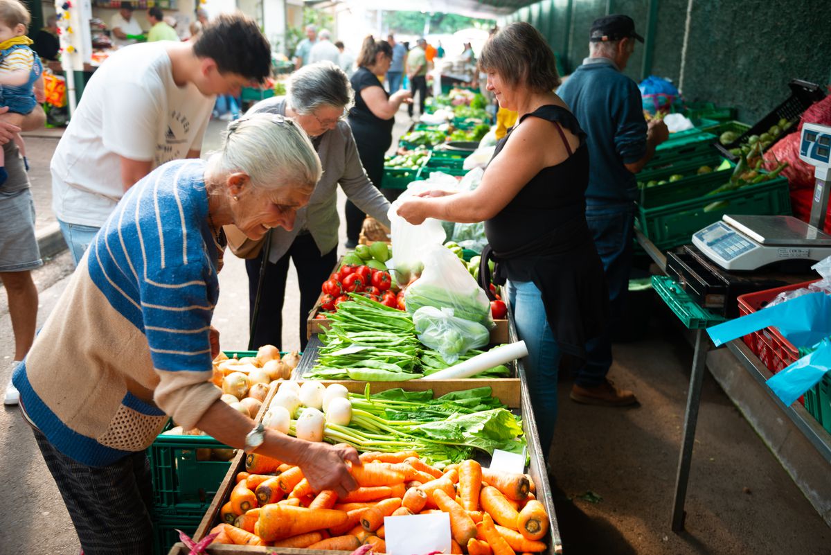 An old customer picks through a box of carrots at a farmers market. 