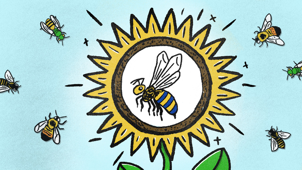 An illustration in yellow, blue, and white shows a bee in the middle of a sunflower, with other bees in the air around it.