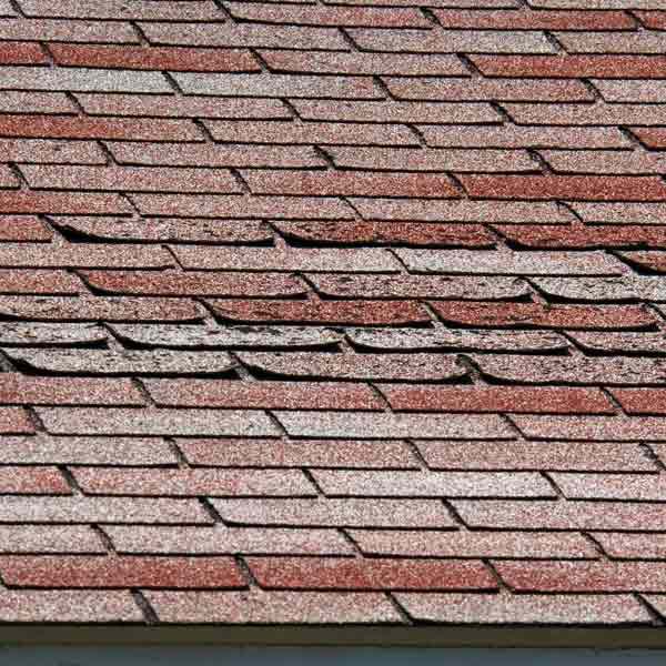 SHED ROOF TILE KIT 12x8 Recycled Plastic Roofing Tile Sheets|Ridge|DryVerge|Scr 