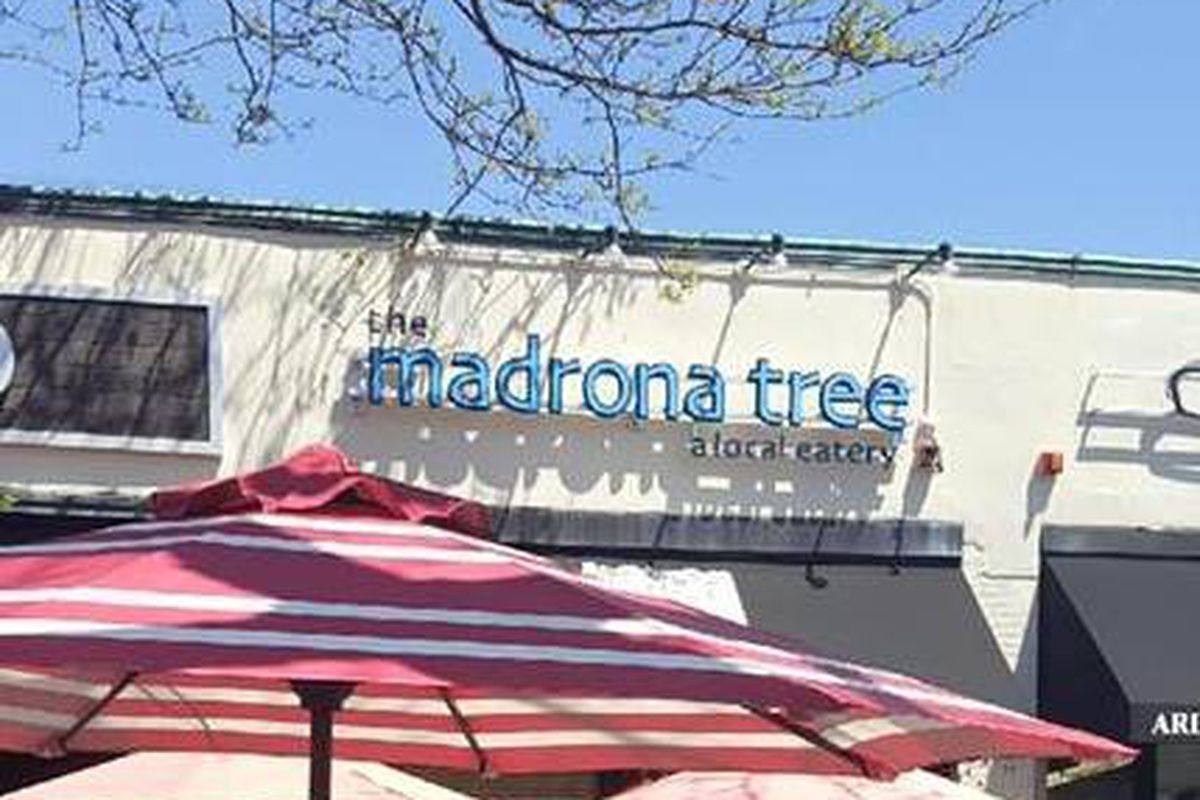 Madrona Tree