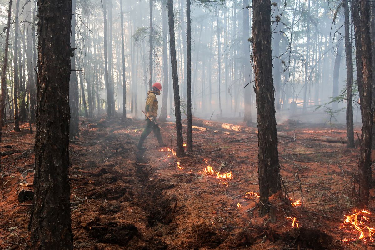 A firefighter of the Yakut Branch of the Aerial Forest Protection Service (Avialesookhrana) makes a controlled burn along a firebreak to protect a fire-prone area of the forest in central Yaktuia (Sakha Republic).