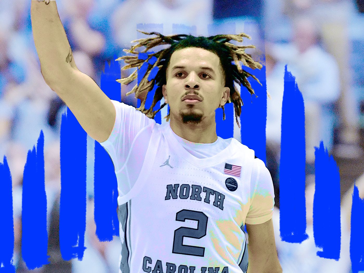 cole anthony wallpaper