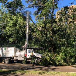 Downed branches being cleared in Central Park. Sept. 2, 2021.