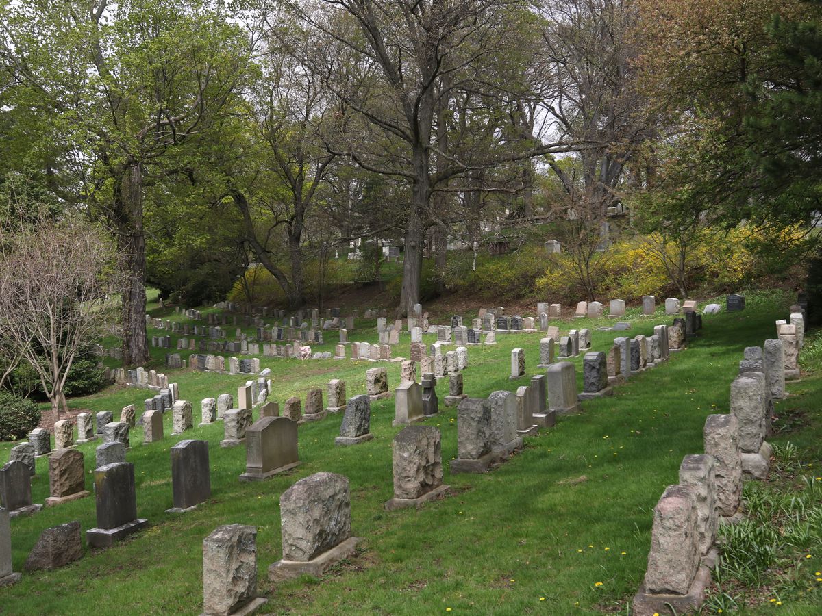 Rows of headstones amid a nicely manicured lawn. 