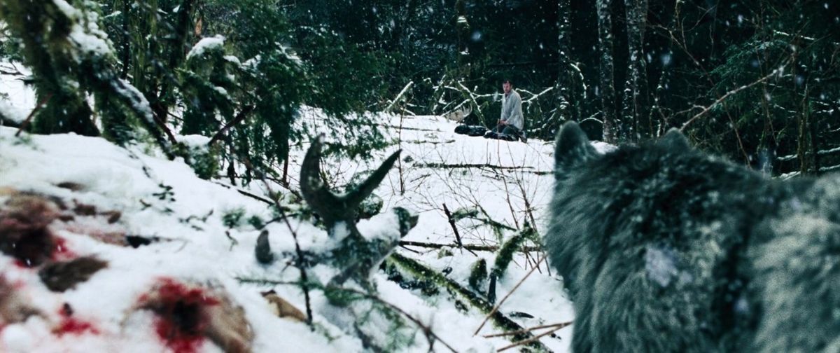 A wolf stalks Liam Neeson in the snow in The Grey