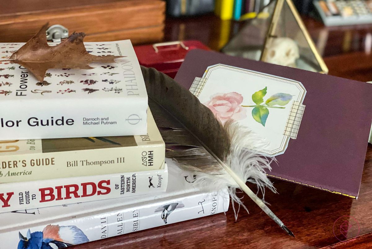 a pile of nature books, with a leaf, a journal, and a feather