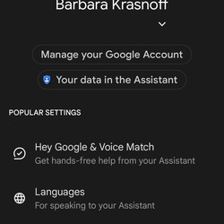 <em>Go to the Google Assistant managing page.</em>