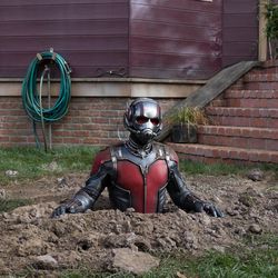 Scott Lang/Ant-Man (Paul Rudd) in 2015's "Ant-Man," which columnist Jared Whitley ranks at number 10 of 10 on his list of best films from the Marvel Cinematic Universe.