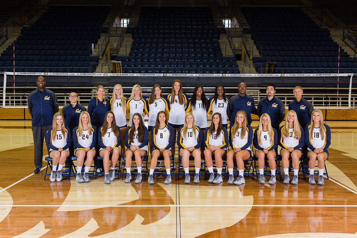 The 2013 Cal Volleyball Team Photo