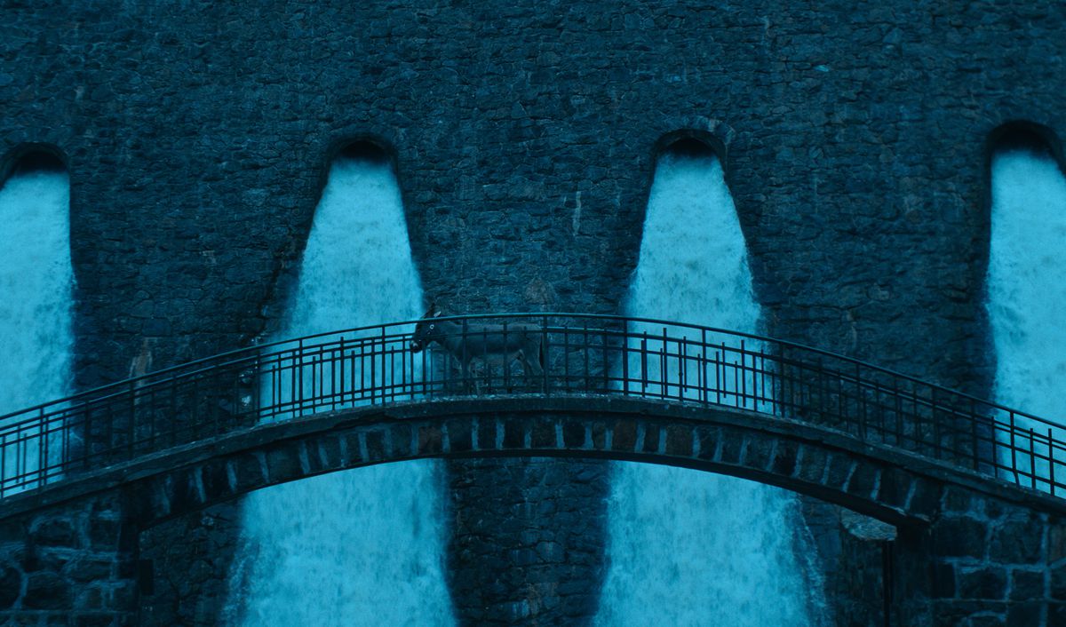EO, l'âne protagoniste du candidat à l'Oscar 2023 EO, ​​traverse un pont en arc devant un vaste barrage, avec de l'eau blanche mousseuse qui s'écoule d'une série de déversoirs.