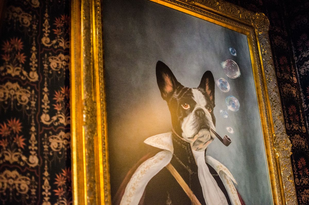 Portrait of a Boston terrier blowing bubbles out of  a pipe and wearing old-fashioned human clothes. The portrait has an elaborate gold frame.