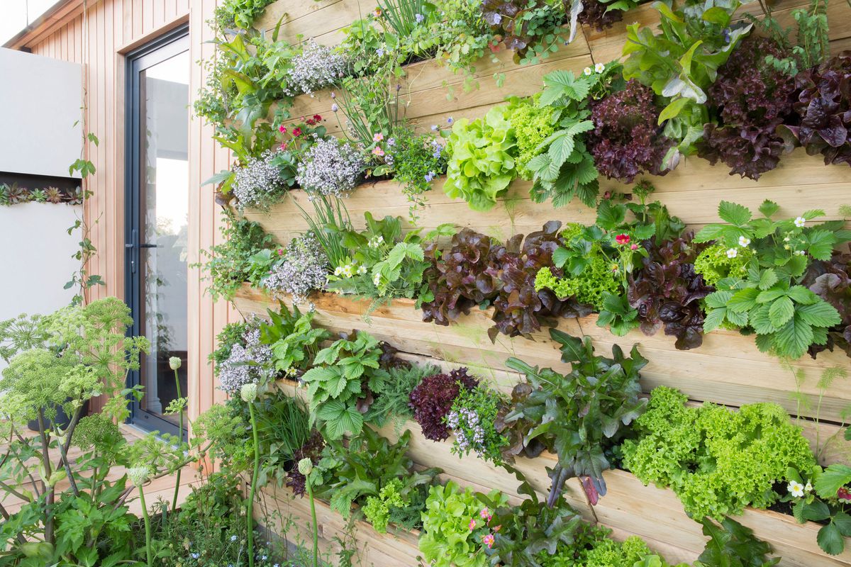An outdoor wall garden with edible plants