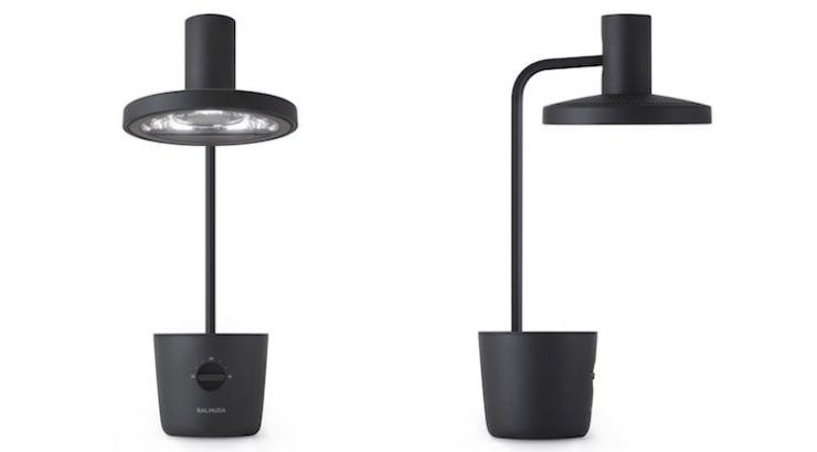 Two black desktop lamps