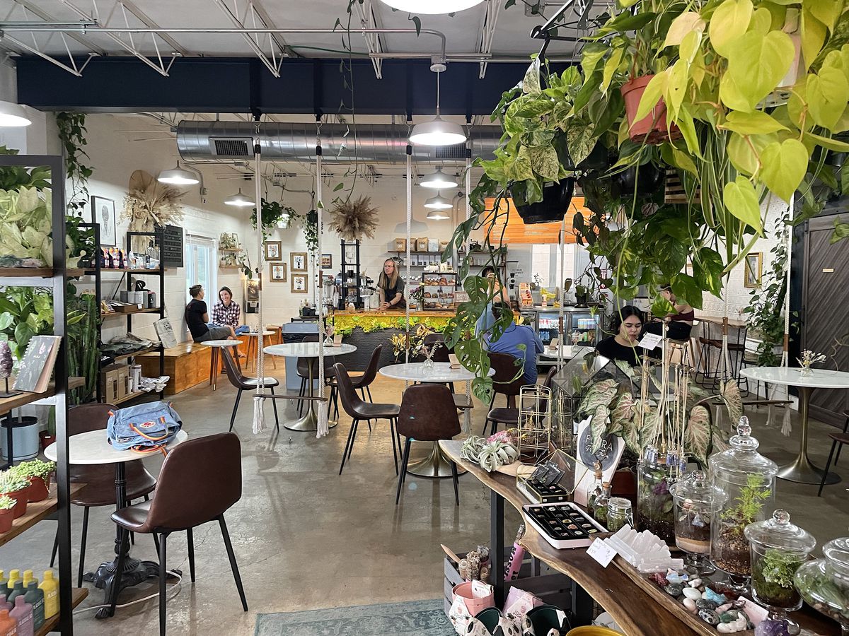 Plant-filled coffeehouse in Park Hill, Denver
