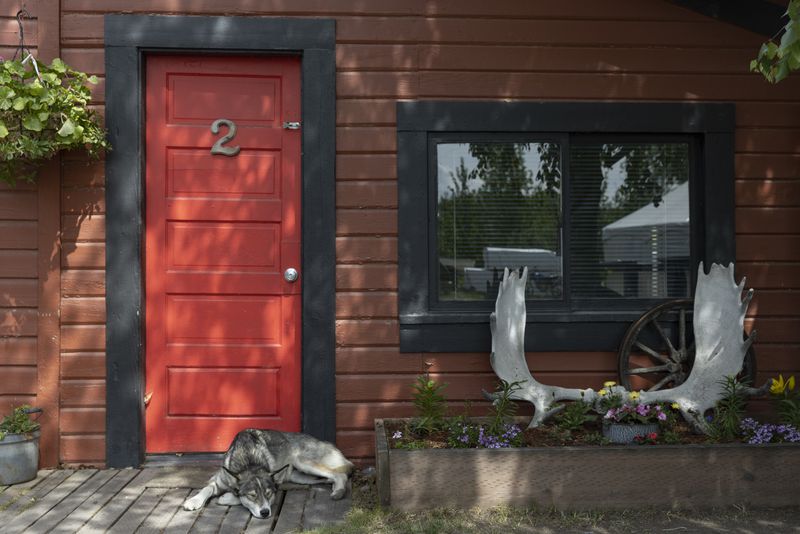 Moose antlers sit by the red front door with a number 2 hanging on it. The walls of the house are brown wood. There is also a dog by the door.