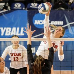 Utah’s Amelia Van Der Werff hits the ball against UVU in an NCAA volleyball game at Smith Fieldhouse in Provo on Friday, Dec. 3, 2021.