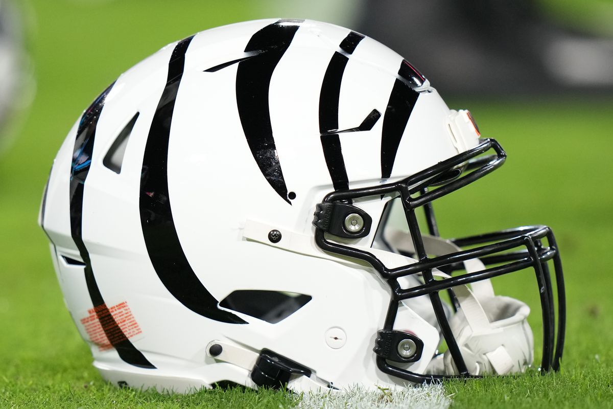 NFL: DEC 04 Bengals at Jaguars