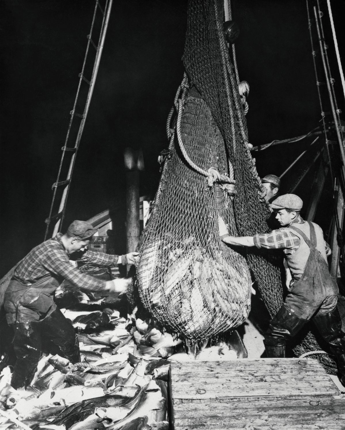 Fishermen Hauling In Their Catch