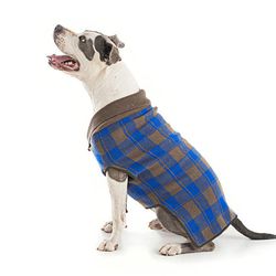 <b>For the Throwback-Loving Terrier:</b> Plaid Dog Sweater, <a href="http://www.pawclawset.com/products/plaid-sweater">$120</a> at PawClawset