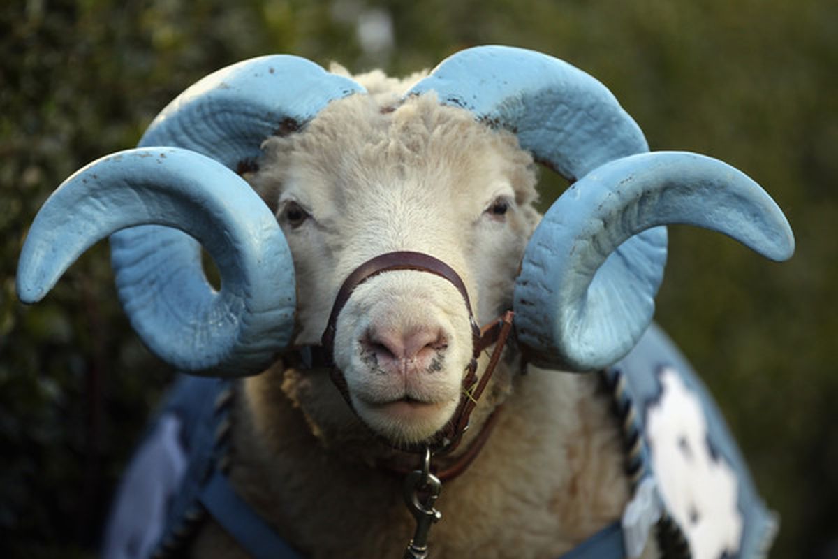 Are those horns natural?  (Photo by Streeter Lecka/Getty Images)