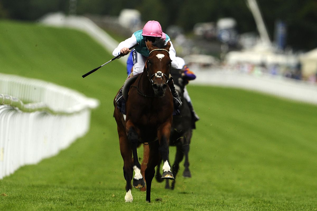 CHICHESTER, ENGLAND - JULY 27: Tom Queally riding Frankel win The Qipco Sussex Stakes at Goodwood racecourse on July 27, 2011 in Chichester, England. (Photo by Alan Crowhurst/Getty Images) 
