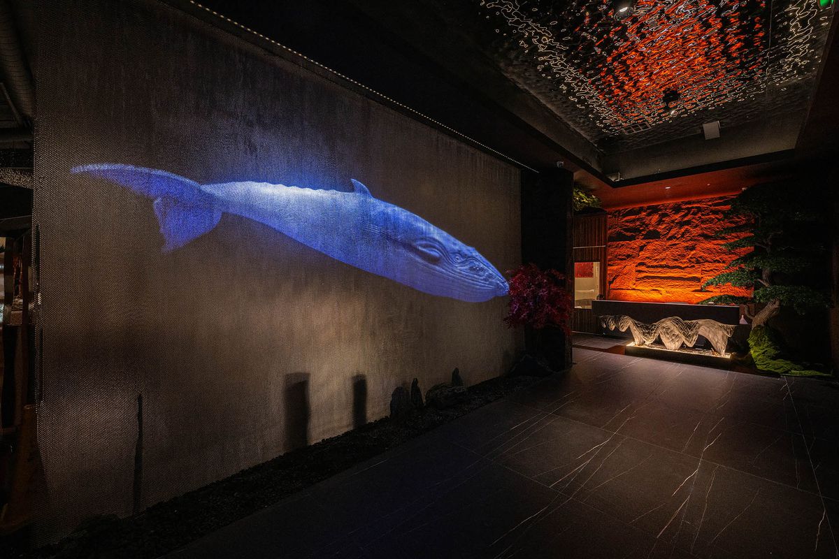 A blue whale projected on a screen at Array 36’s entrance.
