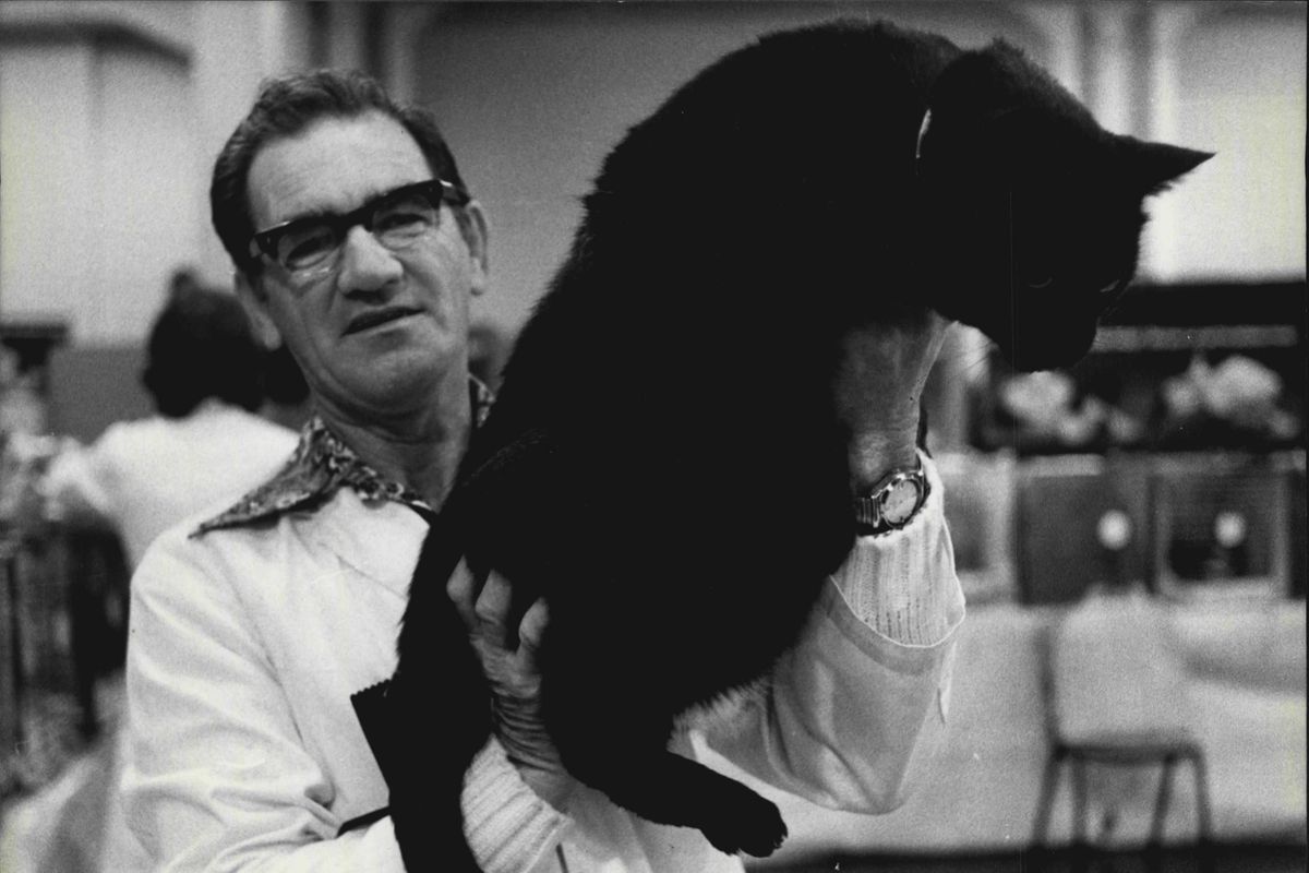 Smith Family Whiskas Domestic Cat show at the Lower Town Hall — The Fattest Cat Weights 20kg “Teddy Bear” owned by Jackie Fleming of Potts Pint, they live in a Penthouse and the bear is fed only Rump steak. Seen her held by Keith Munro, the Fatcat Judge