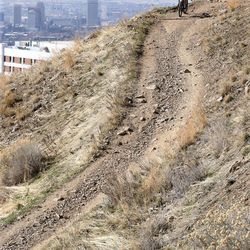 A mountain biker makes his way across the Bonneville Shoreline Trail in Salt Lake City on Thursday, Feb. 12, 2015. All of the lower elevation snowpack is gone.