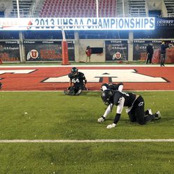 The Pine View Panthers remain still on the field after giving up a touchdown in the final seconds to Desert Hills during the 3AA State Championships at Rice-Eccles Stadium on Friday, November 22, 2013.