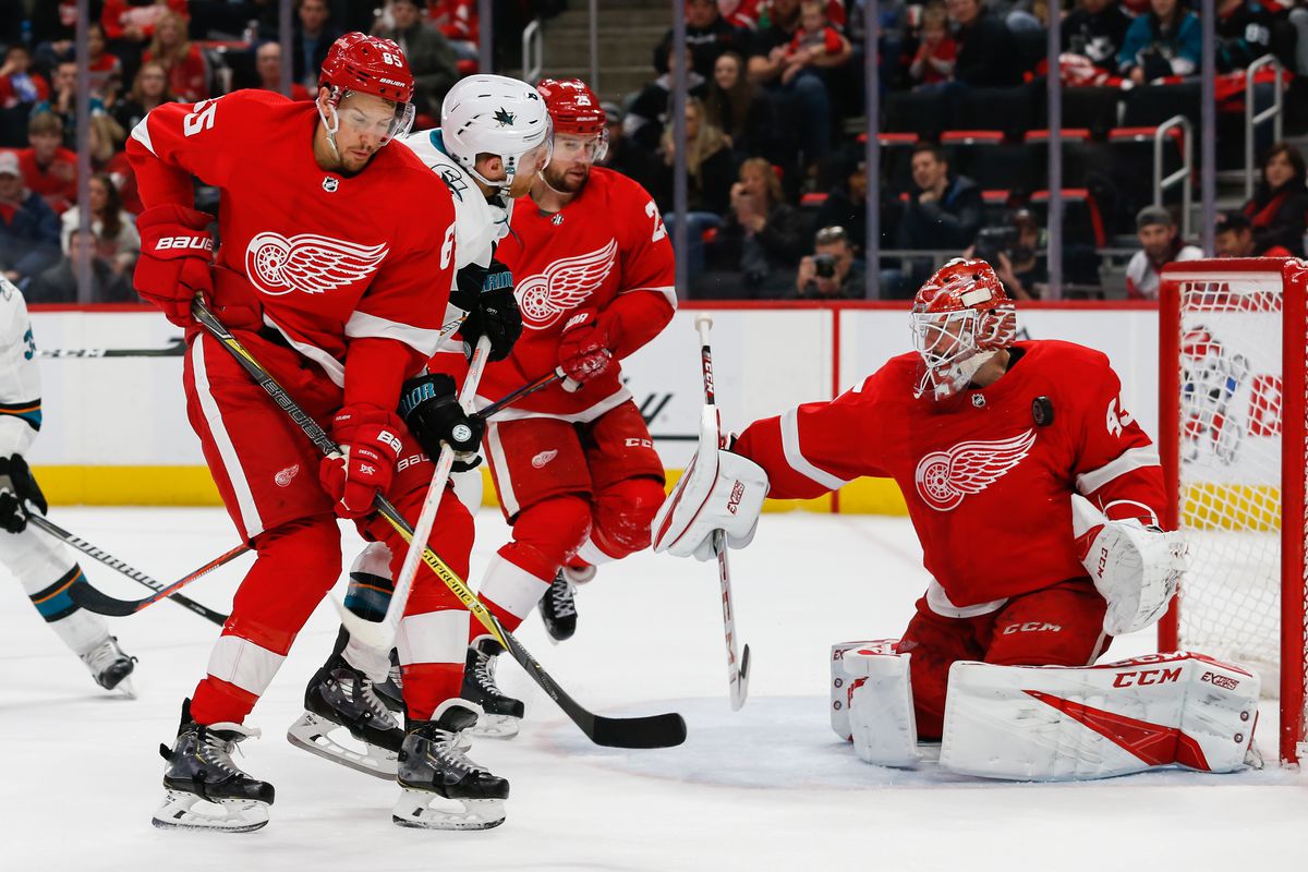 NHL: FEB 24 Sharks at Red Wings