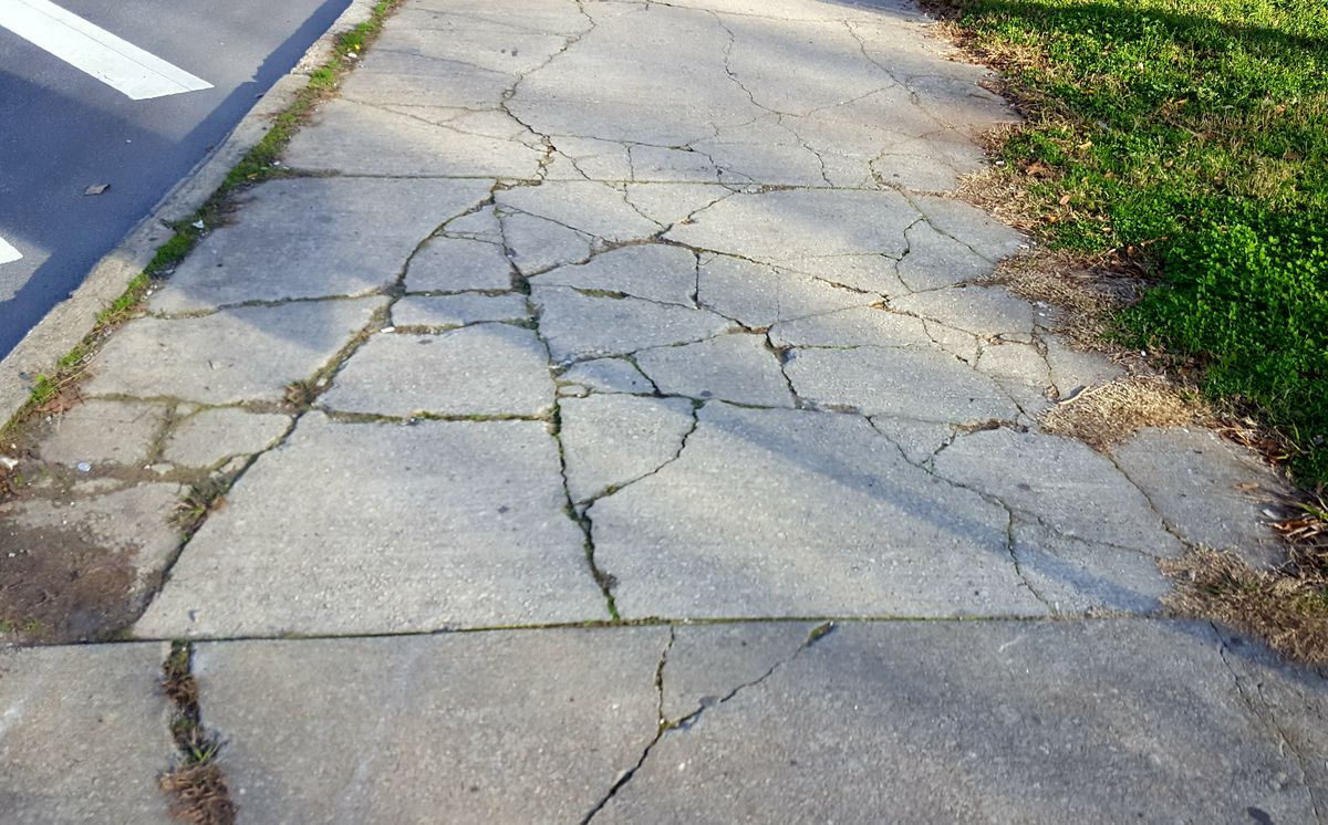 A picture of a cracked sidewalk.