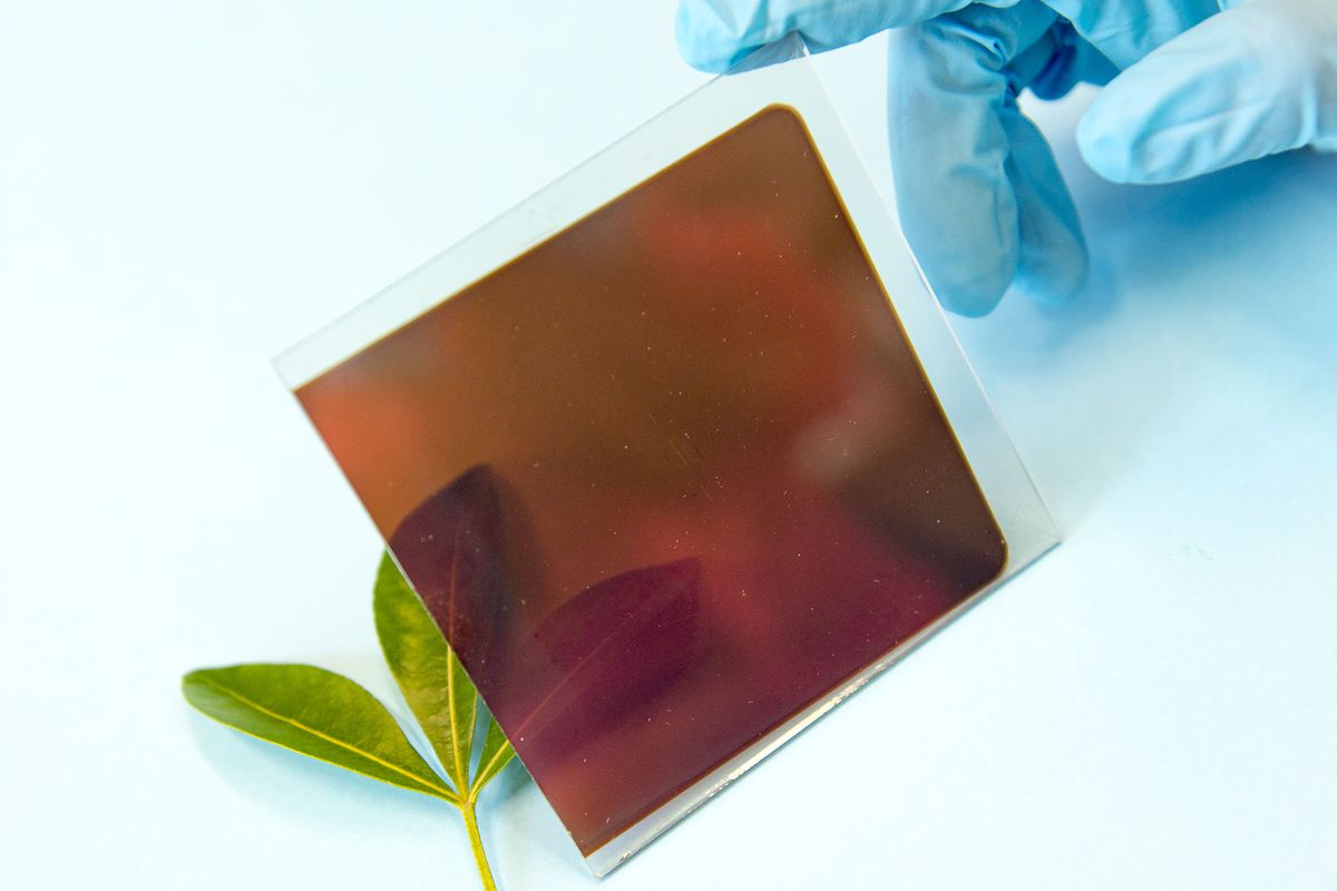 A prototype of a perovskite solar cell