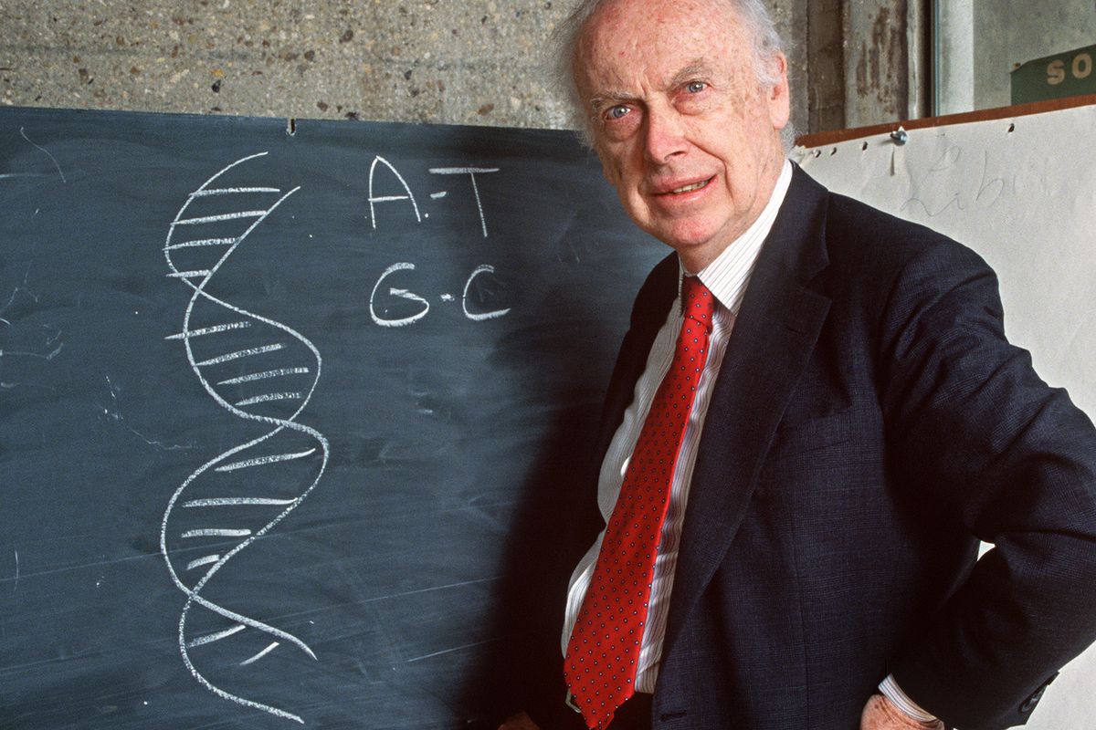 James Watson in 1993, next to a sketch of the structure of DNA