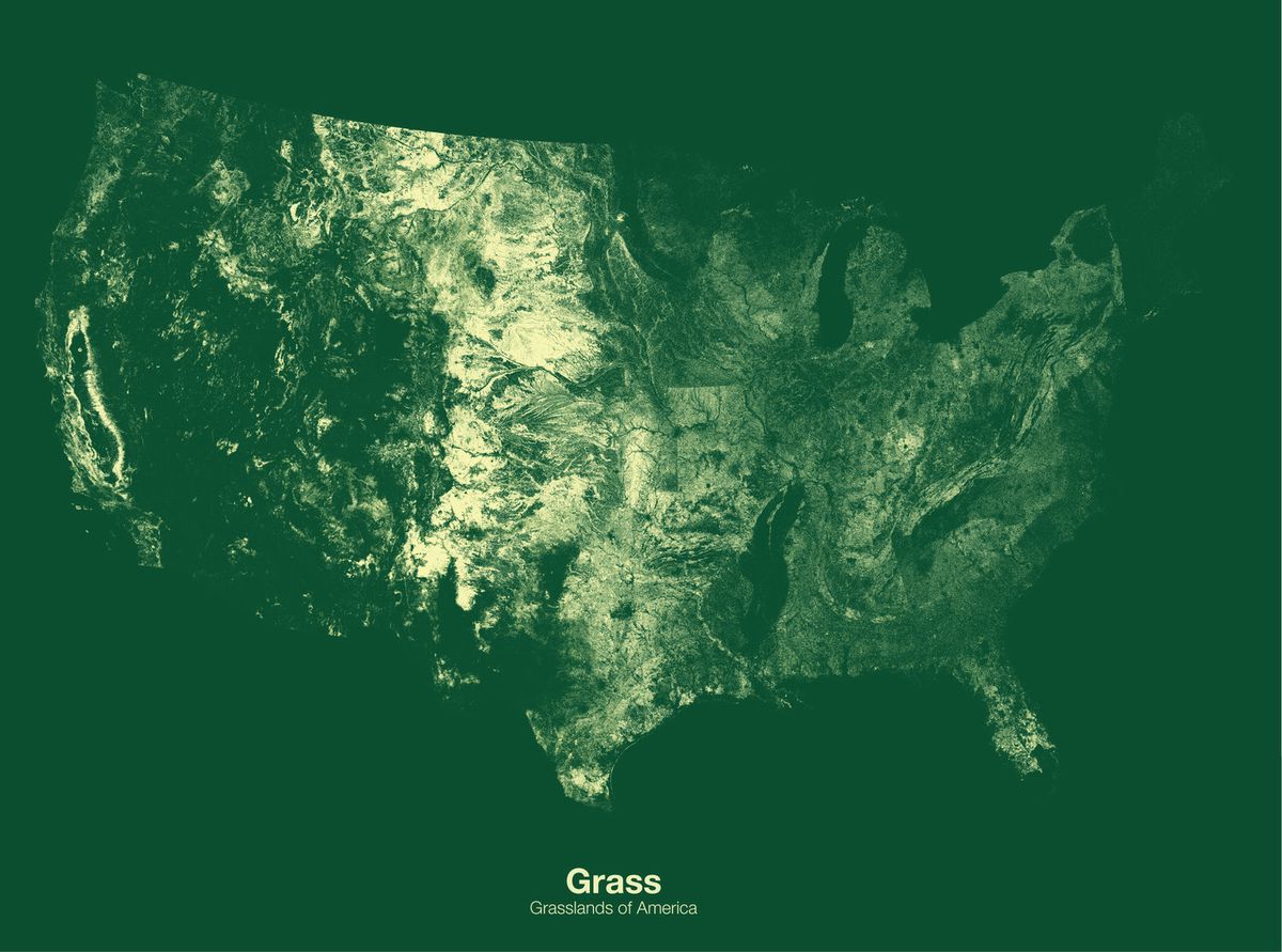 grasslands map