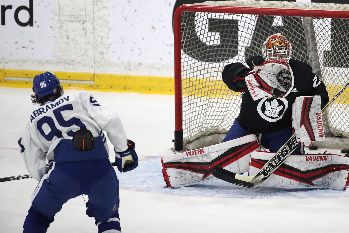 The Toronto Maple Leafs hold their prospects development camp