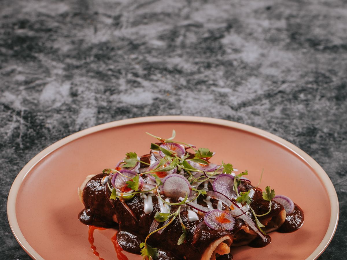 A mole enchilada sits on a plate, covered with mole sauce and radishes.
