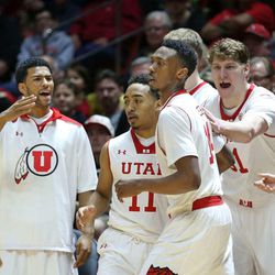Teammates cheers on Utah Utes guard/forward Dakarai Tucker (14) as the University of Utah defeats Cal 76-61 in PAC 12 men's basketball action Sunday, Feb. 15, 2015, in Salt Lake City.  