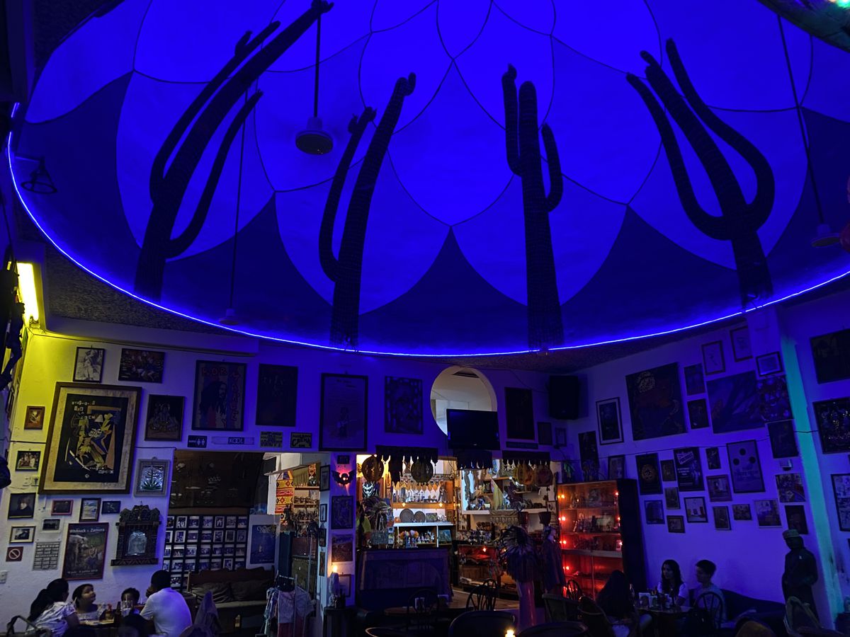 A bar interior with dark blue lighting and cactuses decorating the curved ceiling