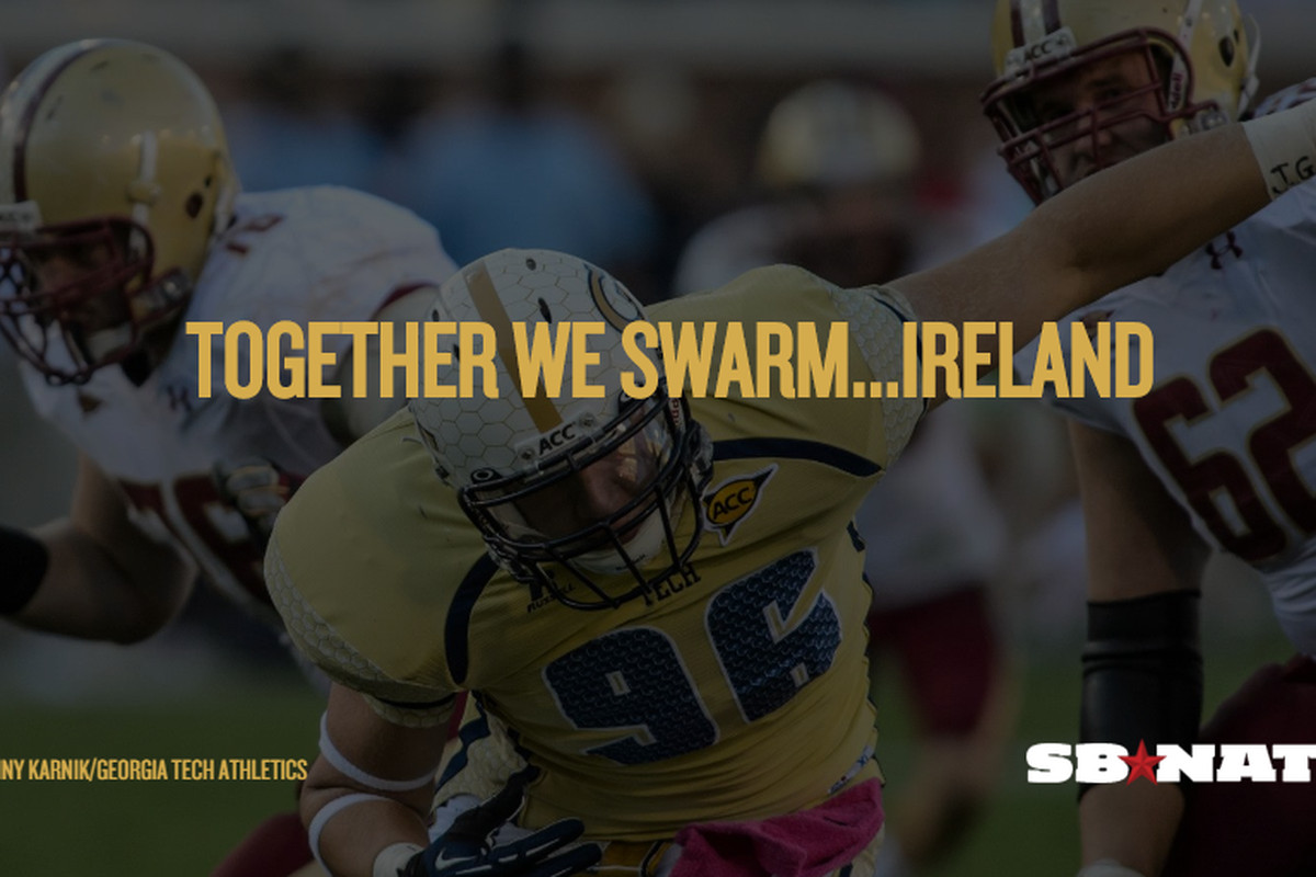 Together We Swarm Ireland