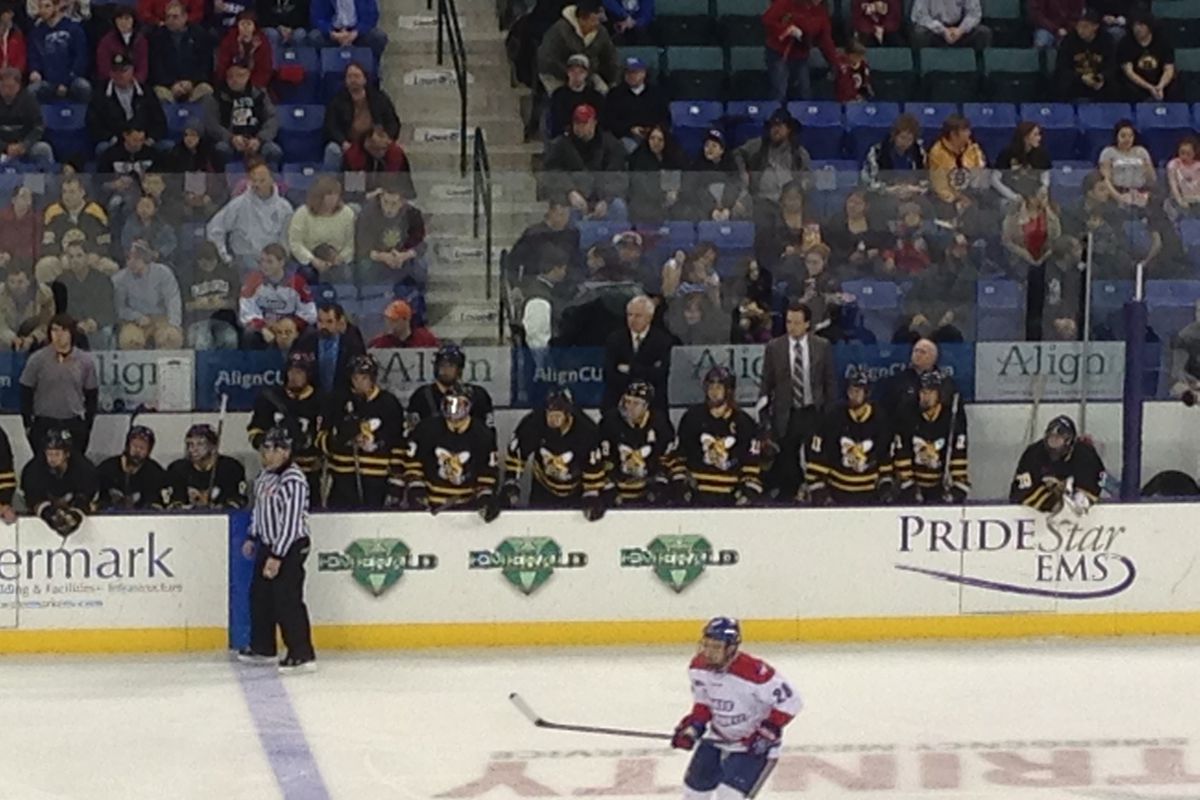 American International players and coaches on the bench at Tsongas Arena in Lowell, Mass.