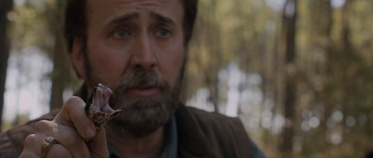 Nicolas Cage holds a snake in Joe.