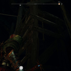 This ladder is hidden in a dark corner in the area where you fight the ogre