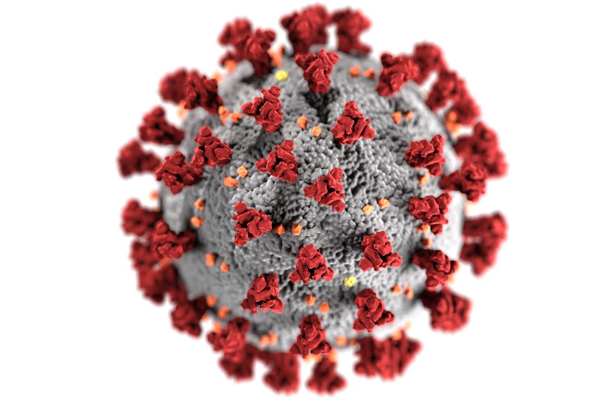 A CGI interpretation of the coronavirus. 