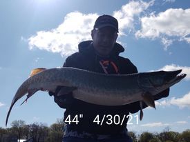 Michael Pierce with a good muskie and a good story from the Chain O’Lakes. Provided
