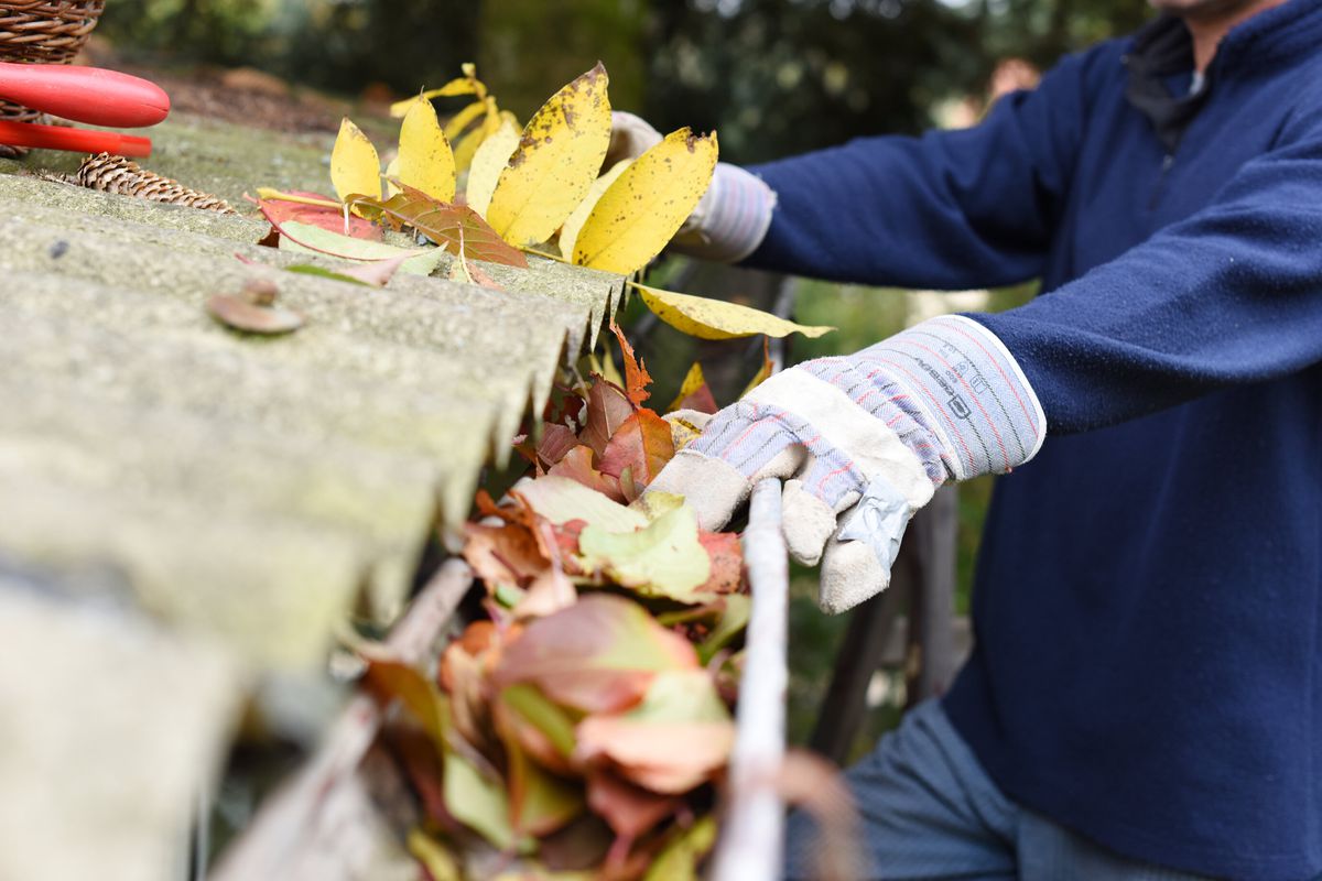 A professional wearing gloves and a navy blue shirt cleans fall leaves out of a gutter. 